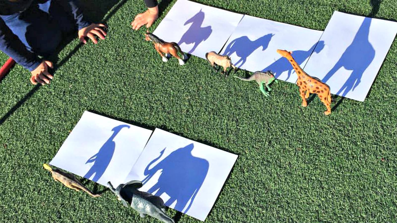 Shadow Drawering This Shadow Drawing Project Is Perfect For Entertaining Your Kids This ...