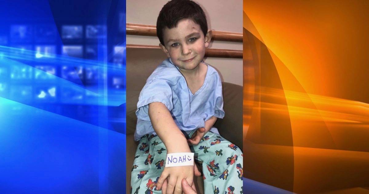 5-Year-Old Hero Saves Sister & Dog From House Fire