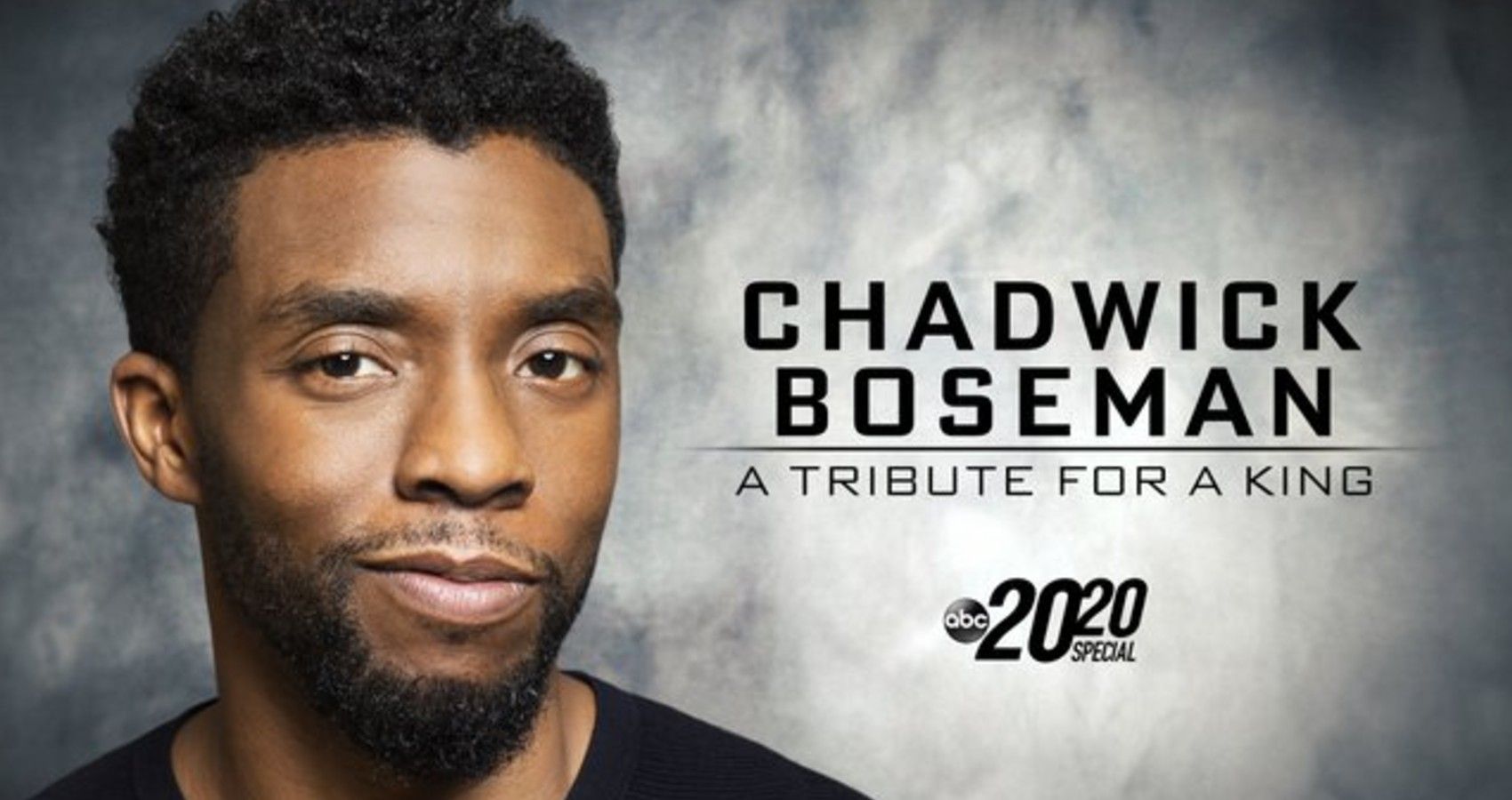 Chadwick Boseman A Tribute For A King