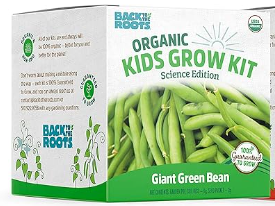 Building Roots Science Kit Best Gardening Kits For Kids